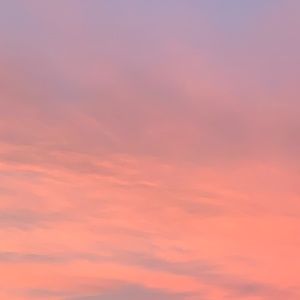 Meet your Posher, Addi